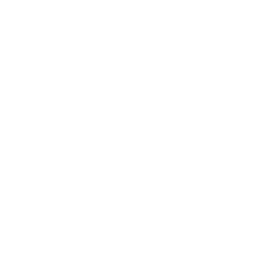 accounting icon