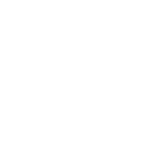 firm icon
