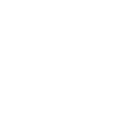 insurance icon